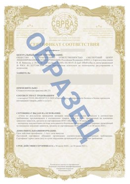 Образец Сертификат СТО 01.064.00220722.2-2020 Гремячинск Сертификат СТО 01.064.00220722.2-2020 